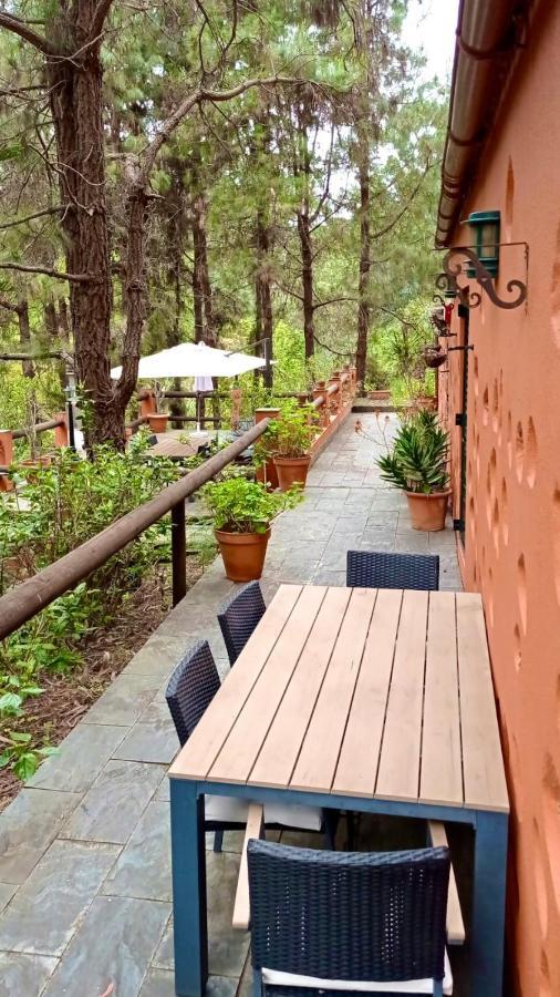 Casa Rural En Medio Del Bosque, El Lance Firgas Kültér fotó