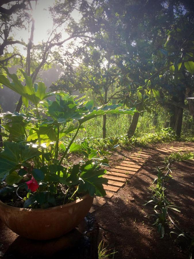 Casa Rural En Medio Del Bosque, El Lance Firgas Kültér fotó