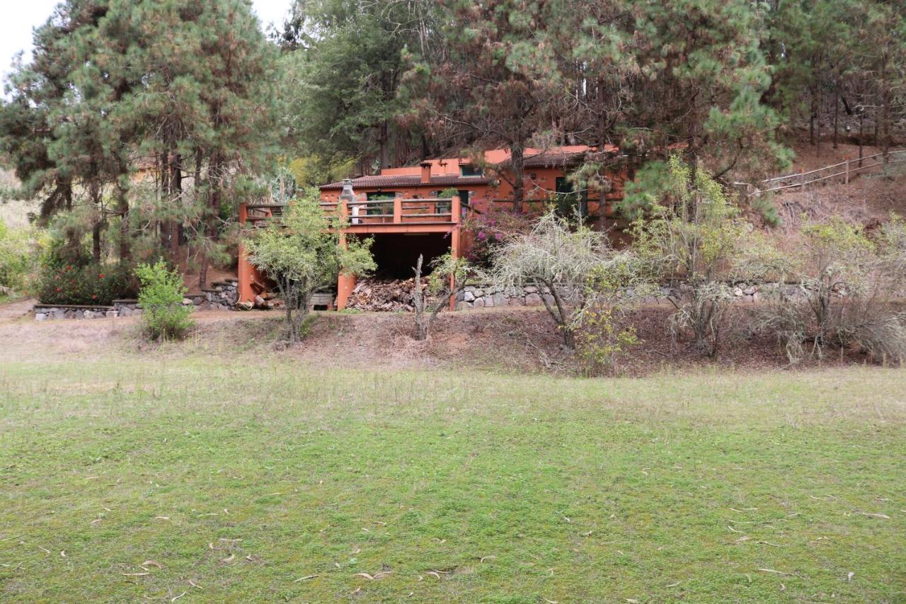 Casa Rural En Medio Del Bosque, El Lance Firgas Kültér fotó