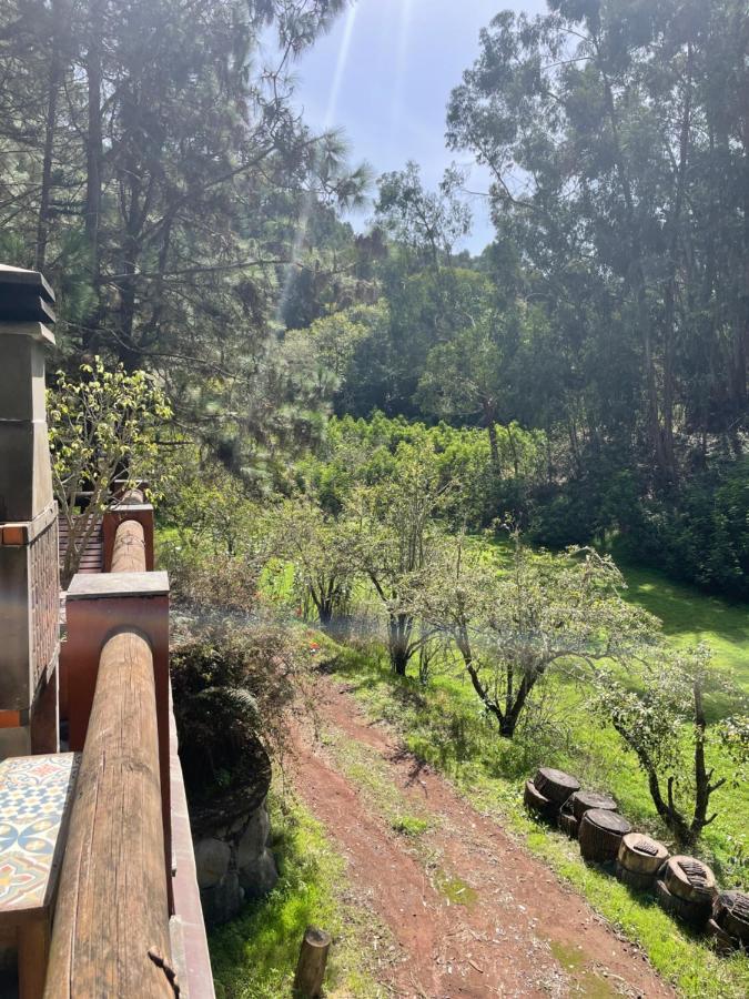 Casa Rural En Medio Del Bosque, El Lance Firgas Kültér fotó