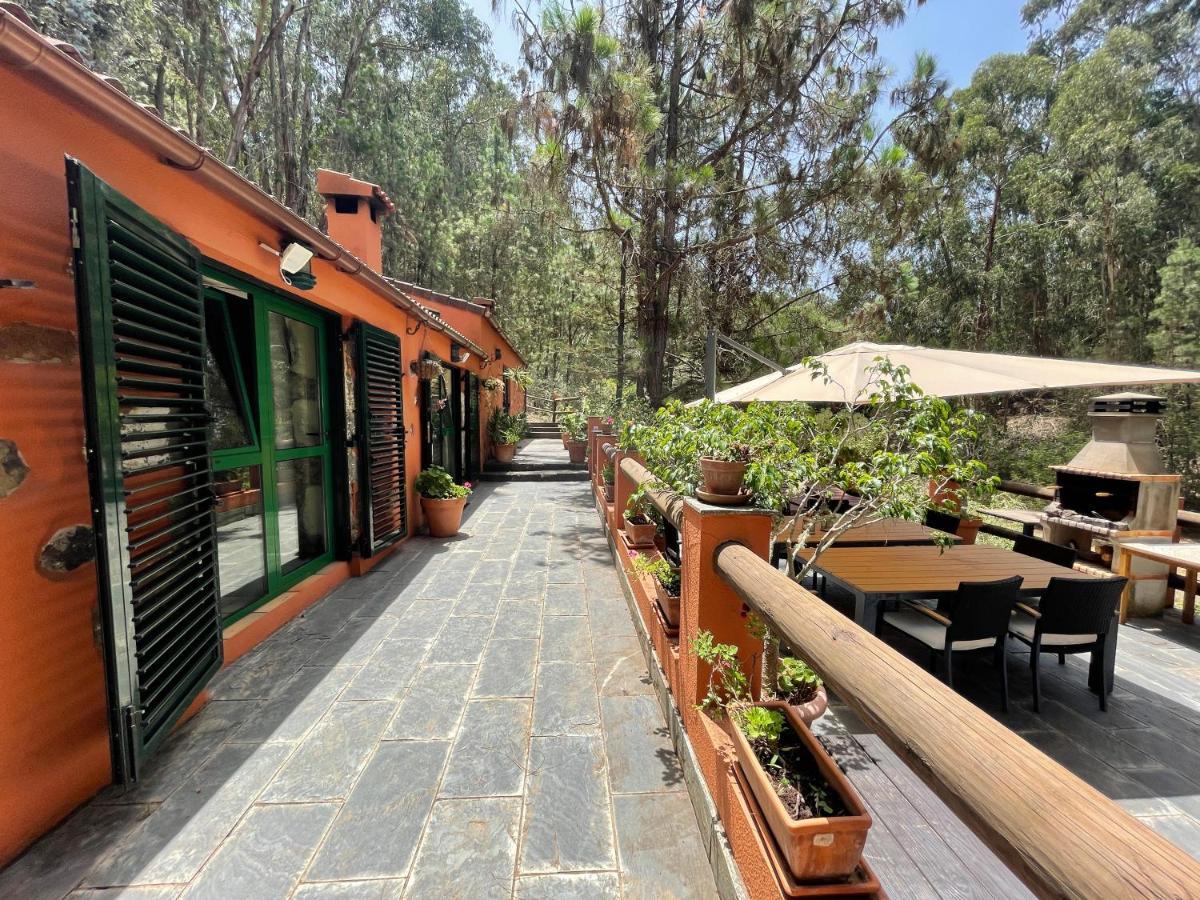 Casa Rural En Medio Del Bosque, El Lance Firgas Kültér fotó