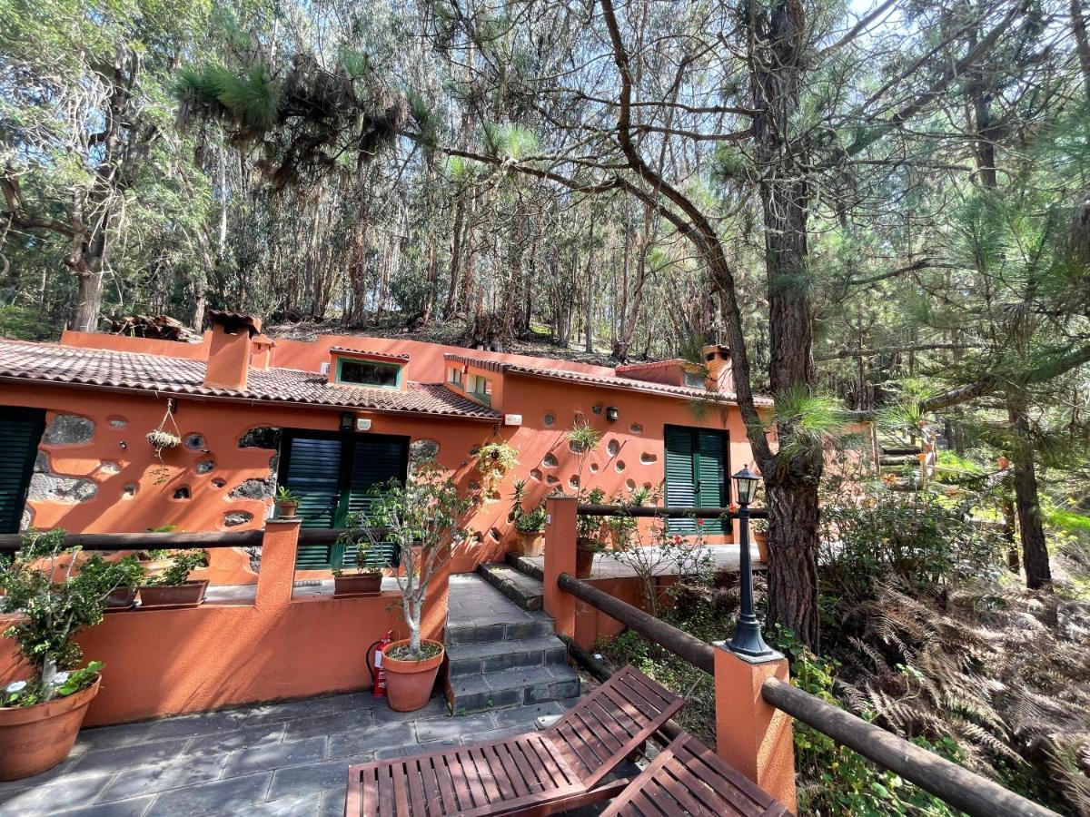 Casa Rural En Medio Del Bosque, El Lance Firgas Kültér fotó