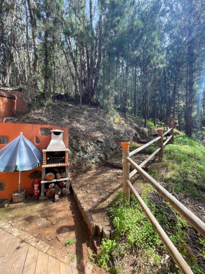 Casa Rural En Medio Del Bosque, El Lance Firgas Kültér fotó