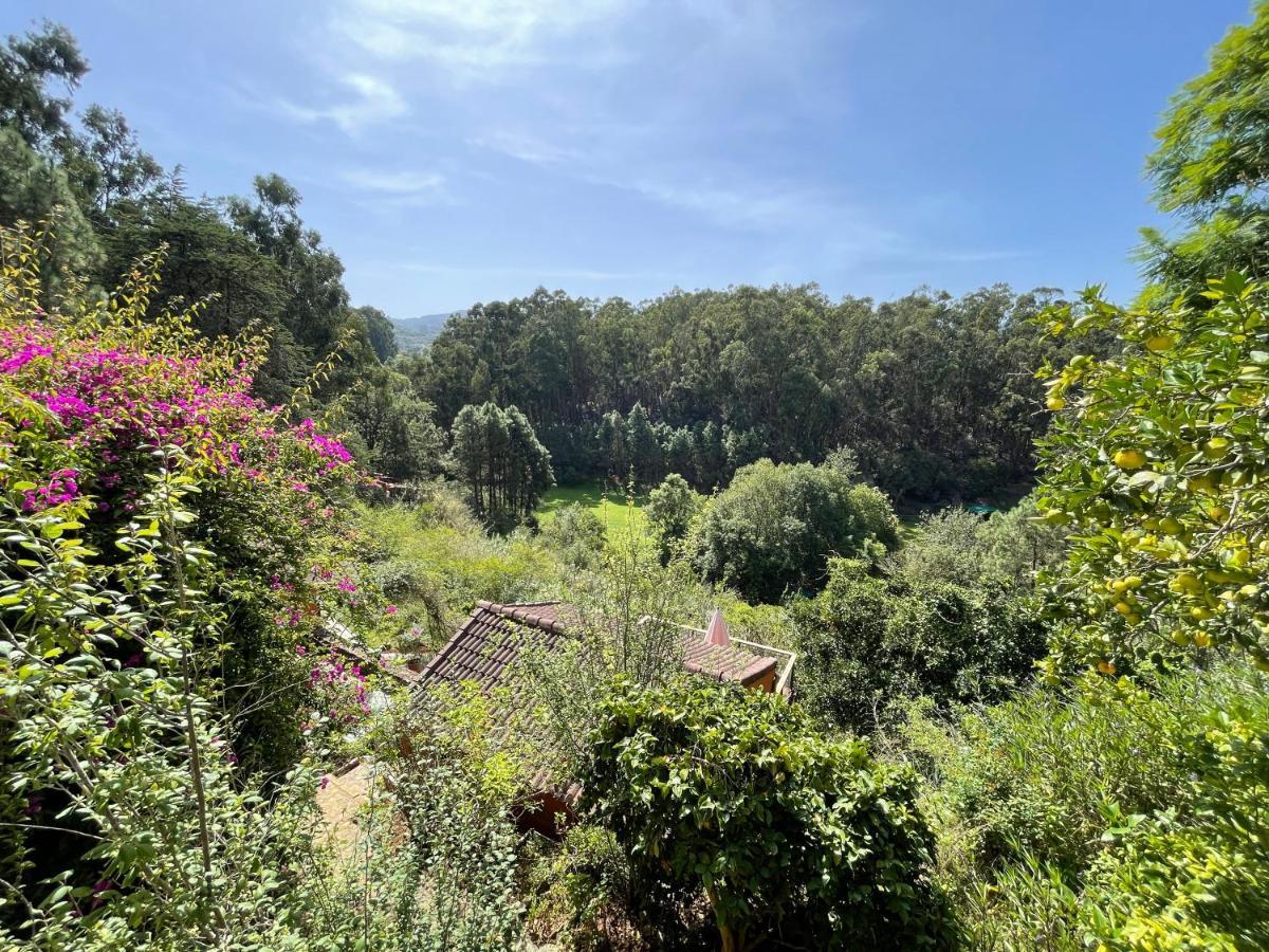 Casa Rural En Medio Del Bosque, El Lance Firgas Kültér fotó