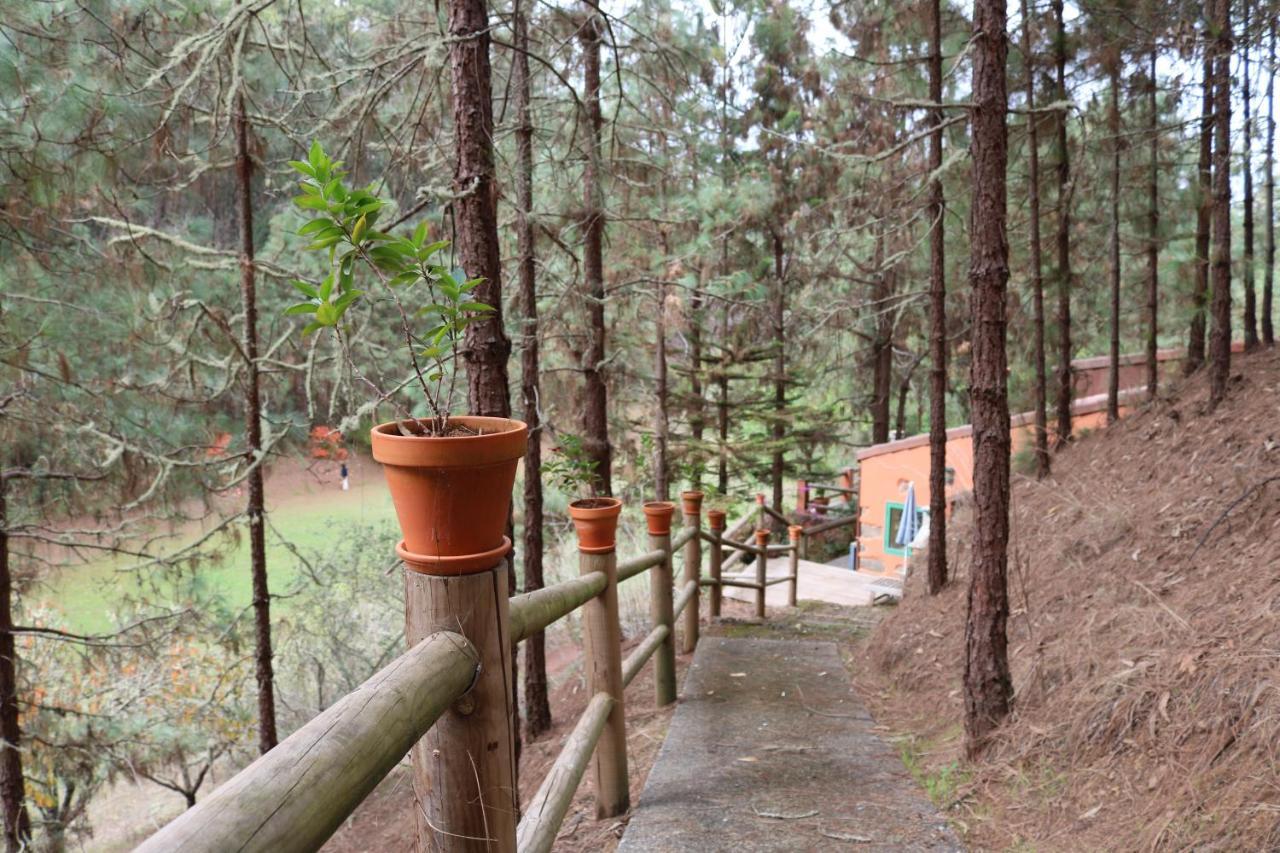 Casa Rural En Medio Del Bosque, El Lance Firgas Kültér fotó