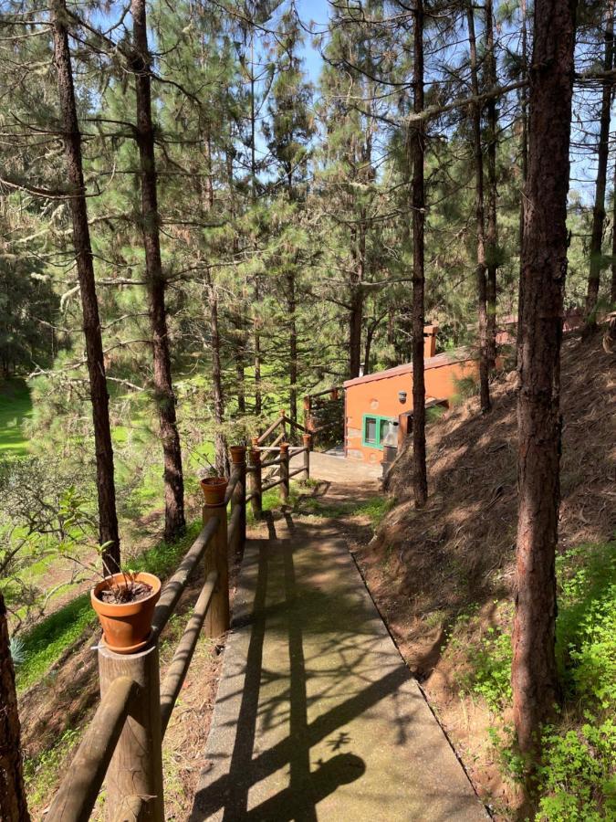 Casa Rural En Medio Del Bosque, El Lance Firgas Kültér fotó