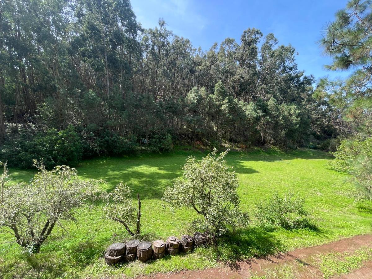 Casa Rural En Medio Del Bosque, El Lance Firgas Kültér fotó