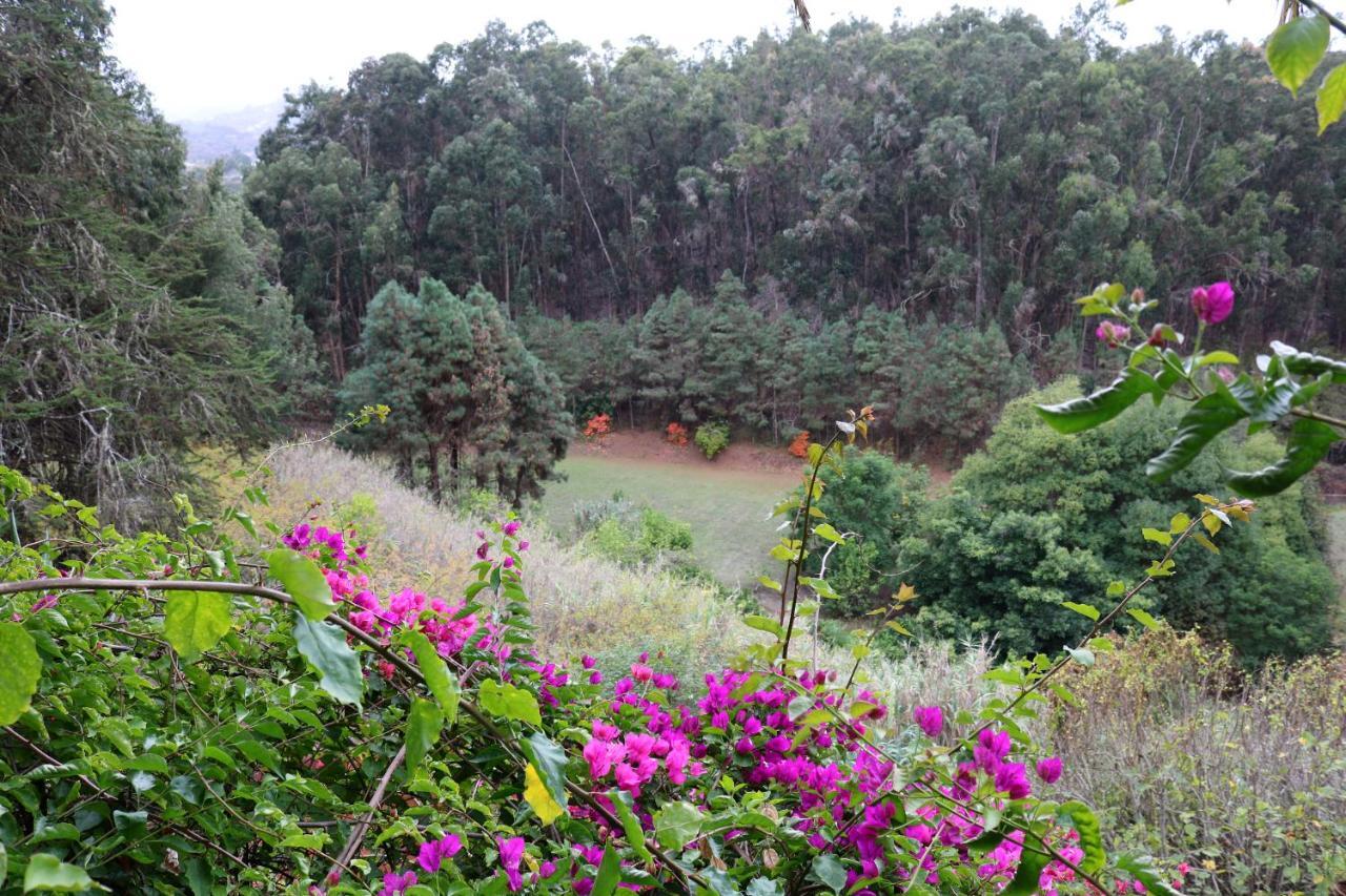 Casa Rural En Medio Del Bosque, El Lance Firgas Kültér fotó