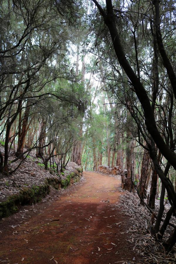 Casa Rural En Medio Del Bosque, El Lance Firgas Kültér fotó