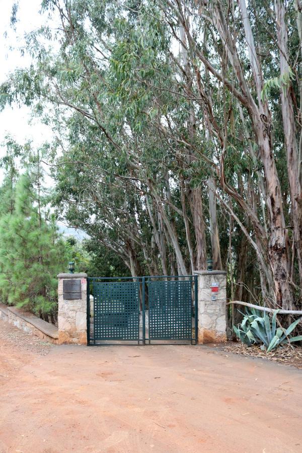 Casa Rural En Medio Del Bosque, El Lance Firgas Kültér fotó